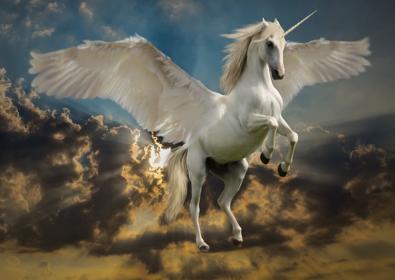 Unicorn Hotspot